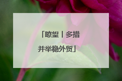 瞭望丨多措并举稳外贸