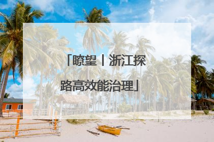 瞭望丨浙江探路高效能治理