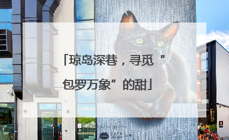 琼岛深巷，寻觅“包罗万象”的甜
