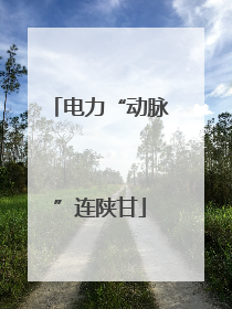 电力“动脉”连陕甘