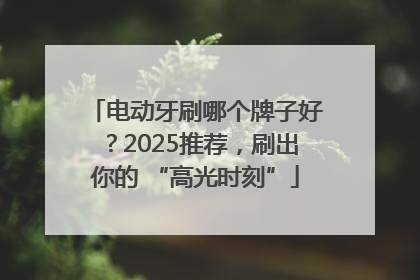 电动牙刷哪个牌子好？2025推荐，刷出你的 “高光时刻”