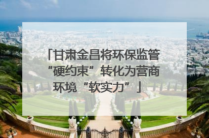 甘肃金昌将环保监管“硬约束”转化为营商环境“软实力”