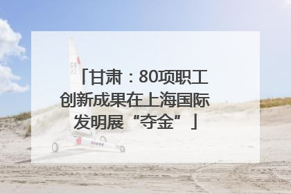 甘肃：80项职工创新成果在上海国际发明展“夺金”