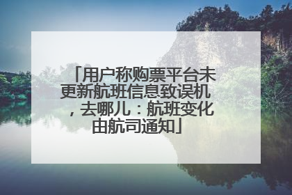 用户称购票平台未更新航班信息致误机，去哪儿：航班变化由航司通知