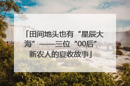 田间地头也有“星辰大海”——三位“00后”新农人的夏收故事