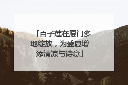 百子莲在厦门多地绽放，为盛夏增添清凉与诗意