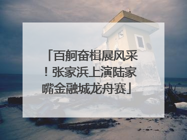 百舸奋楫展风采！张家浜上演陆家嘴金融城龙舟赛