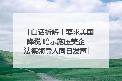 白话拆解丨要求美国降税 暗示施压美企 法德领导人同日发声