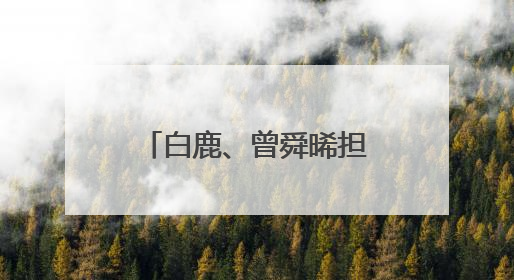 白鹿、曾舜晞担任爱奇艺VIP内容推荐官 剧粉解锁追剧新福利