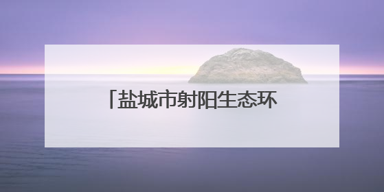 盐城市射阳生态环境局开展六五环境日主题宣传系列活动