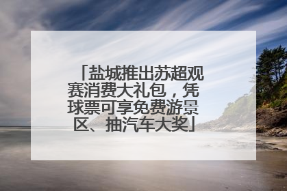 盐城推出苏超观赛消费大礼包，凭球票可享免费游景区、抽汽车大奖