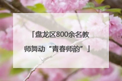 盘龙区800余名教师舞动“青春师韵”