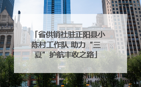 省供销社驻正阳县小陈村工作队 助力“三夏”护航丰收之路
