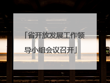 省开放发展工作领导小组会议召开