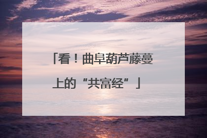 看！曲阜葫芦藤蔓上的“共富经”