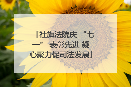 社旗法院庆 “七一” 表彰先进 凝心聚力促司法发展