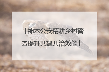 神木公安精耕乡村警务提升共建共治效能