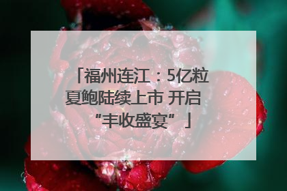 福州连江：5亿粒夏鲍陆续上市 开启“丰收盛宴”