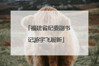 福建省纪委副书记游宇飞履新