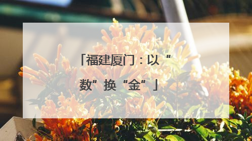 福建厦门：以“数”换“金”