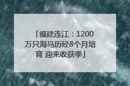福建连江：1200万只海马历经8个月培育 迎来收获季