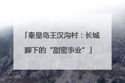 秦皇岛王汉沟村：长城脚下的“甜蜜事业”