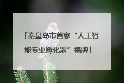 秦皇岛市首家“人工智能专业孵化器”揭牌