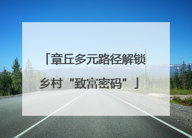 章丘多元路径解锁乡村“致富密码”