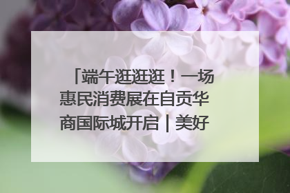 端午逛逛逛！一场惠民消费展在自贡华商国际城开启｜美好生活有“盐”味