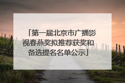 第一届北京市广播影视春燕奖拟推荐获奖和备选提名名单公示