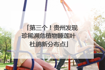 第三个！贵州发现珍稀濒危植物睡莲叶杜鹃新分布点