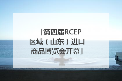 第四届RCEP区域（山东）进口商品博览会开幕