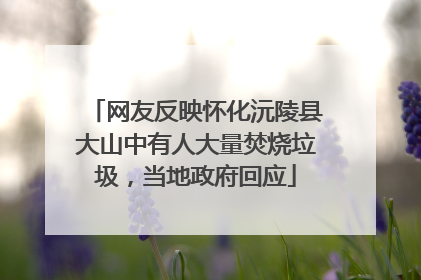 网友反映怀化沅陵县大山中有人大量焚烧垃圾，当地政府回应