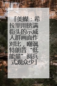 美媒：希拉里用挤满街头的示威人群画面作对比，嘲讽特朗普“低能量”阅兵式观众少