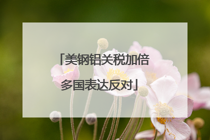 美钢铝关税加倍 多国表达反对