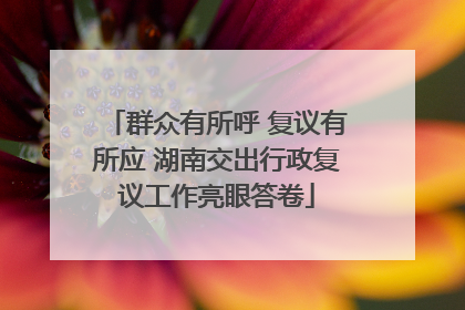 群众有所呼 复议有所应 湖南交出行政复议工作亮眼答卷