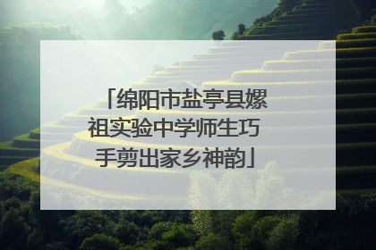 绵阳市盐亭县嫘祖实验中学师生巧手剪出家乡神韵
