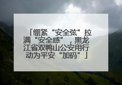 绷紧“安全弦”拉满“安全感”，黑龙江省双鸭山公安用行动为平安“加码”