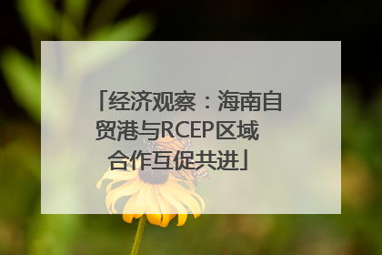经济观察：海南自贸港与RCEP区域合作互促共进