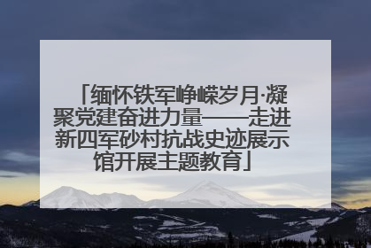 缅怀铁军峥嵘岁月·凝聚党建奋进力量——走进新四军砂村抗战史迹展示馆开展主题教育