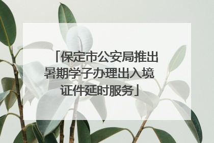 保定市公安局推出暑期学子办理出入境证件延时服务