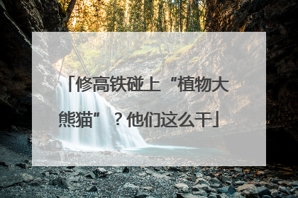 修高铁碰上“植物大熊猫”？他们这么干