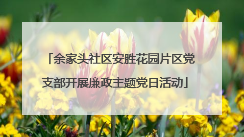 余家头社区安胜花园片区党支部开展廉政主题党日活动