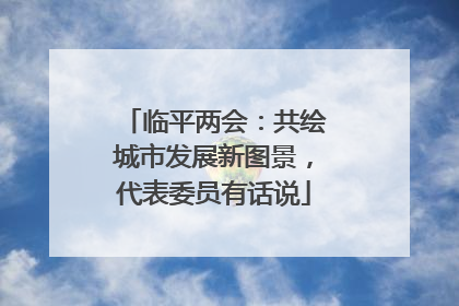 临平两会：共绘城市发展新图景，代表委员有话说