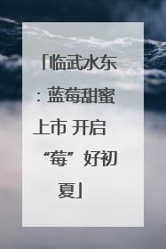 临武水东：蓝莓甜蜜上市 开启“莓”好初夏
