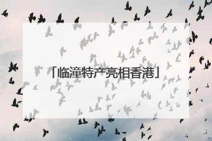 临潼特产亮相香港