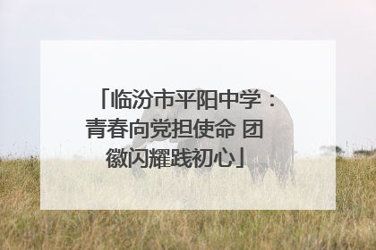 临汾市平阳中学：青春向党担使命 团徽闪耀践初心