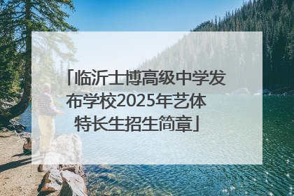 临沂士博高级中学发布学校2025年艺体特长生招生简章