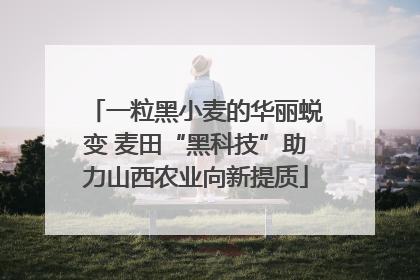 一粒黑小麦的华丽蜕变 麦田“黑科技”助力山西农业向新提质