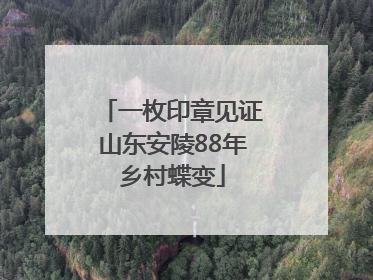 一枚印章见证山东安陵88年乡村蝶变